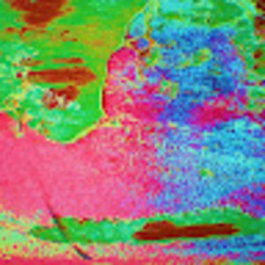 Meet your Posher, Alexa